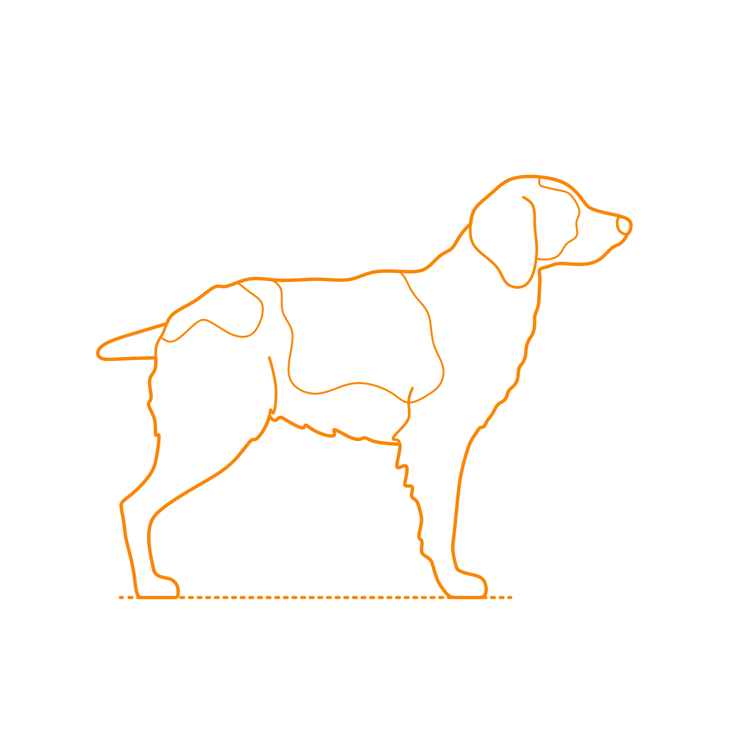 Animals Dogs Brittany Laser Cut Svg File Free Vectors